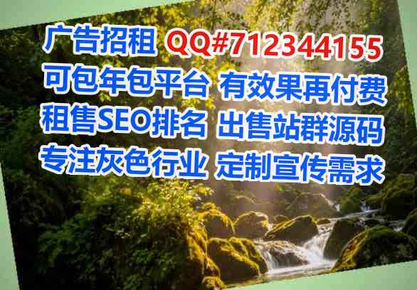 道孚代母系统集成工作室